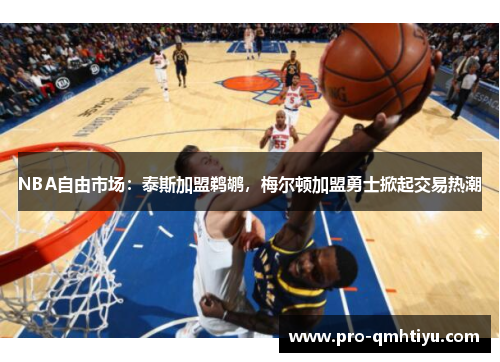 NBA自由市场：泰斯加盟鹈鹕，梅尔顿加盟勇士掀起交易热潮